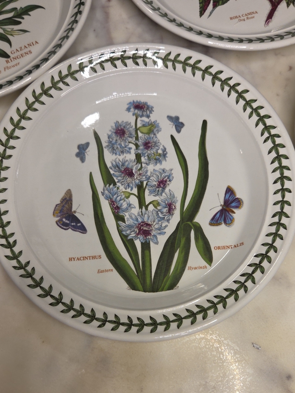 Vintage Portmeirion The Botanic Garden Floral Salad Plates 1972 | Britian Set 4 - Picture 4 of 13